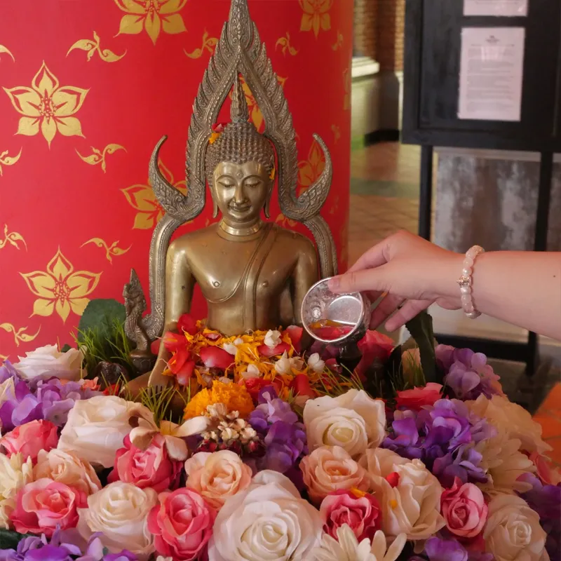 Orchid Resort and Spa