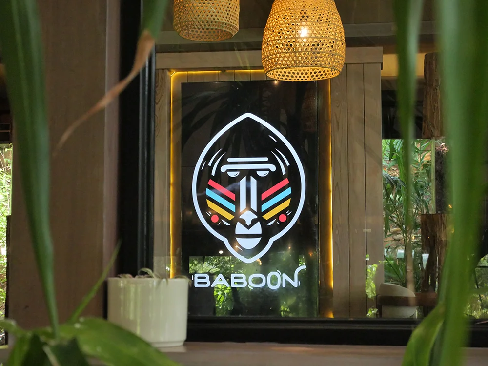 BABOON